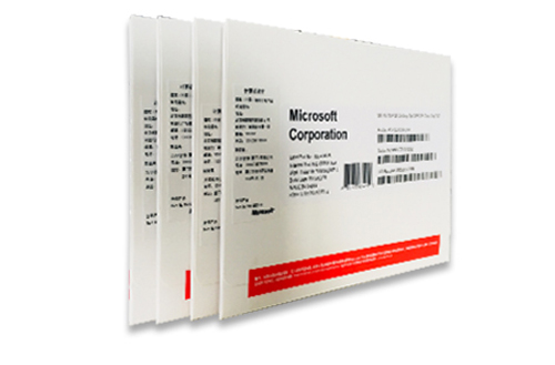 Windows 10（专业版）