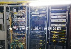 服务器维保巡检发现故障